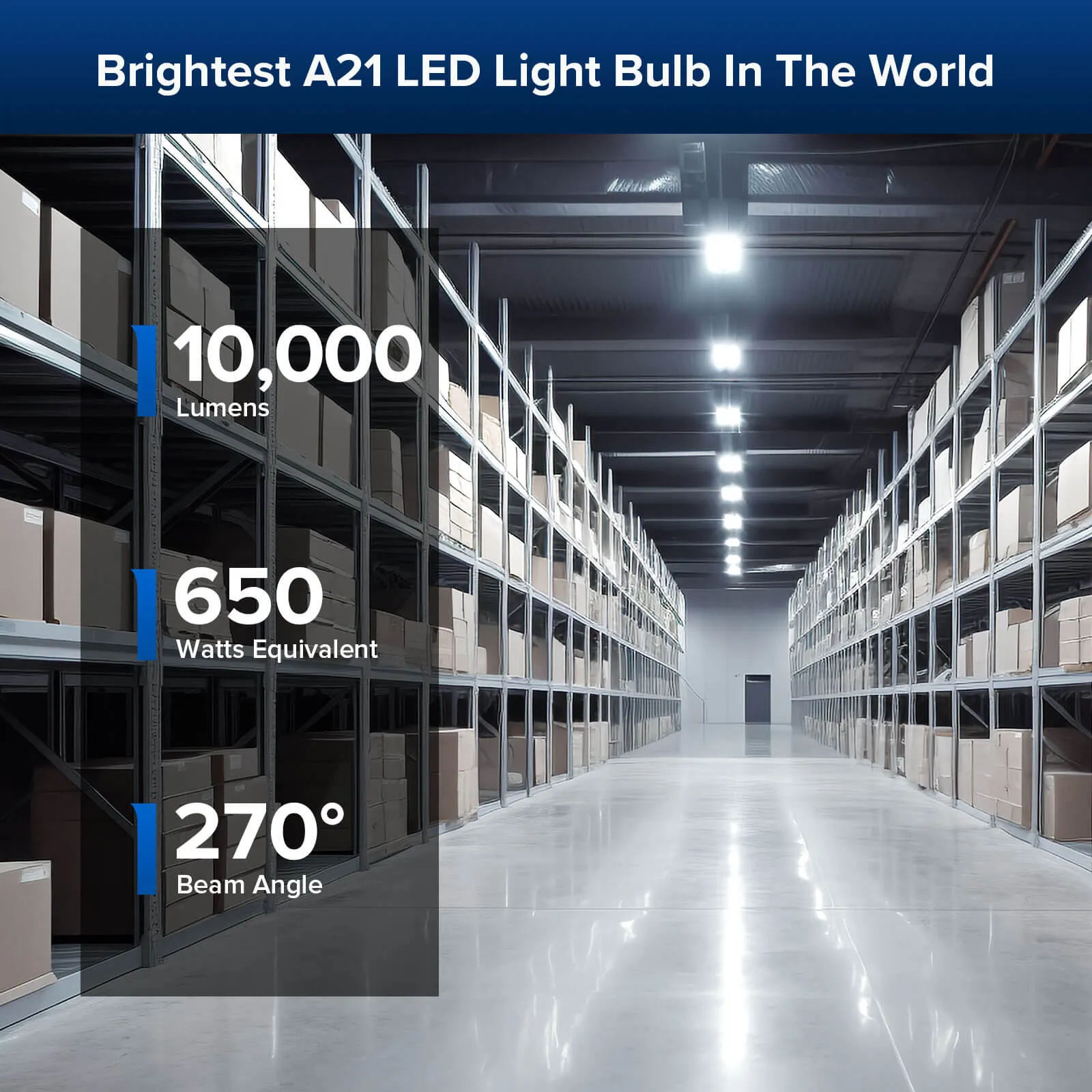 A21 65W LED 5000K Light Bulb (US ONLY)