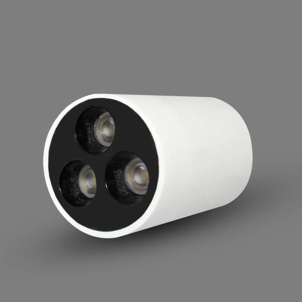 ANKUR GRACE LB LED SURFACE CYLINDER LIGHT