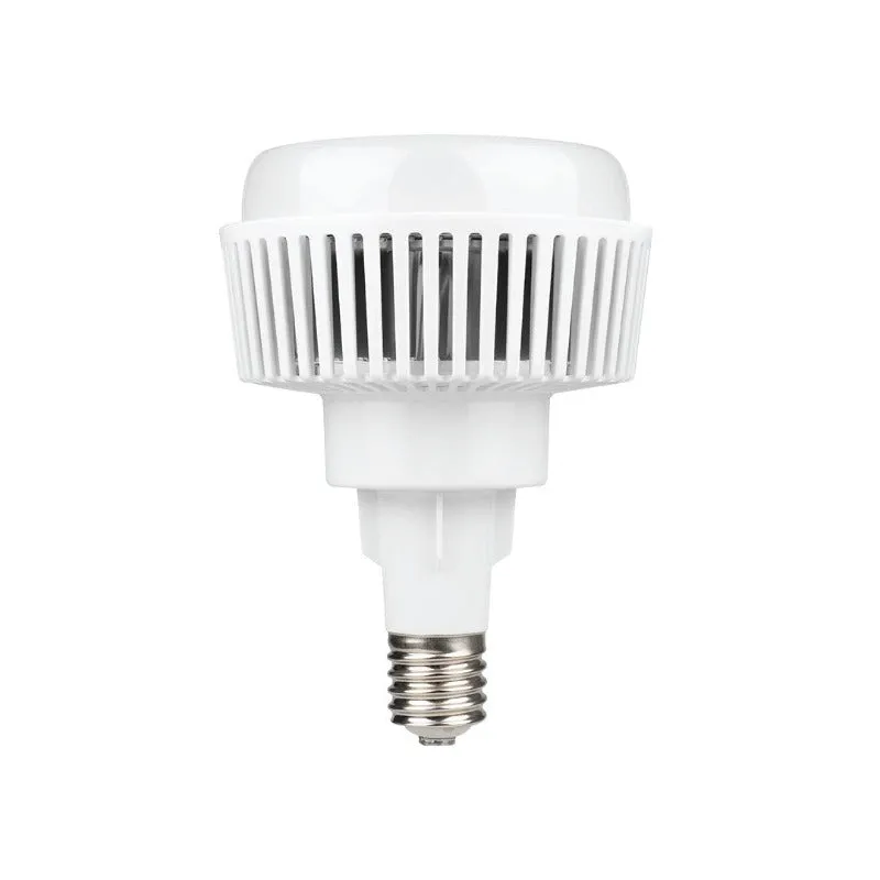 Bulb LED 100 Watts E40 (Big Screw) With Cover