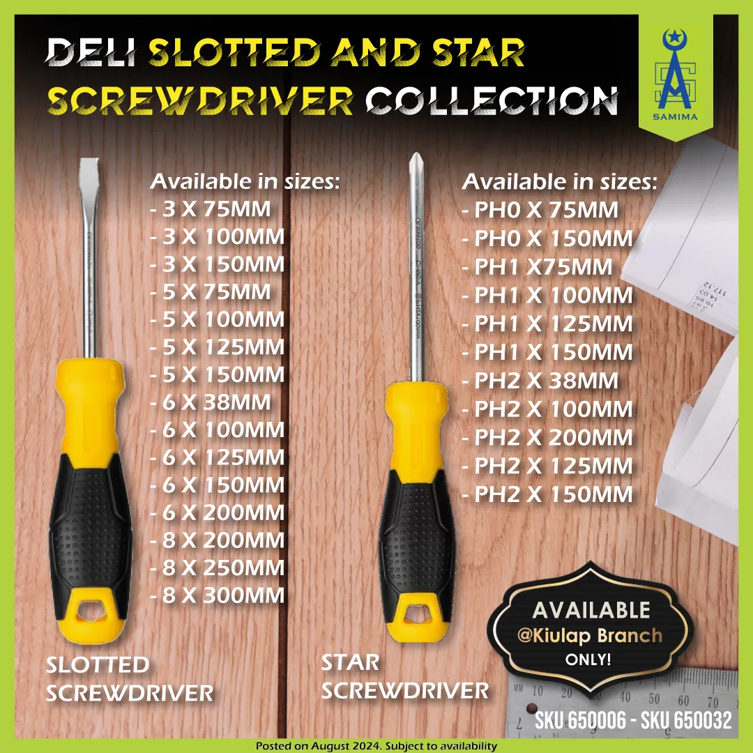 DELI DL635100 STAR SCREWDRIVER PH1 X 100MM