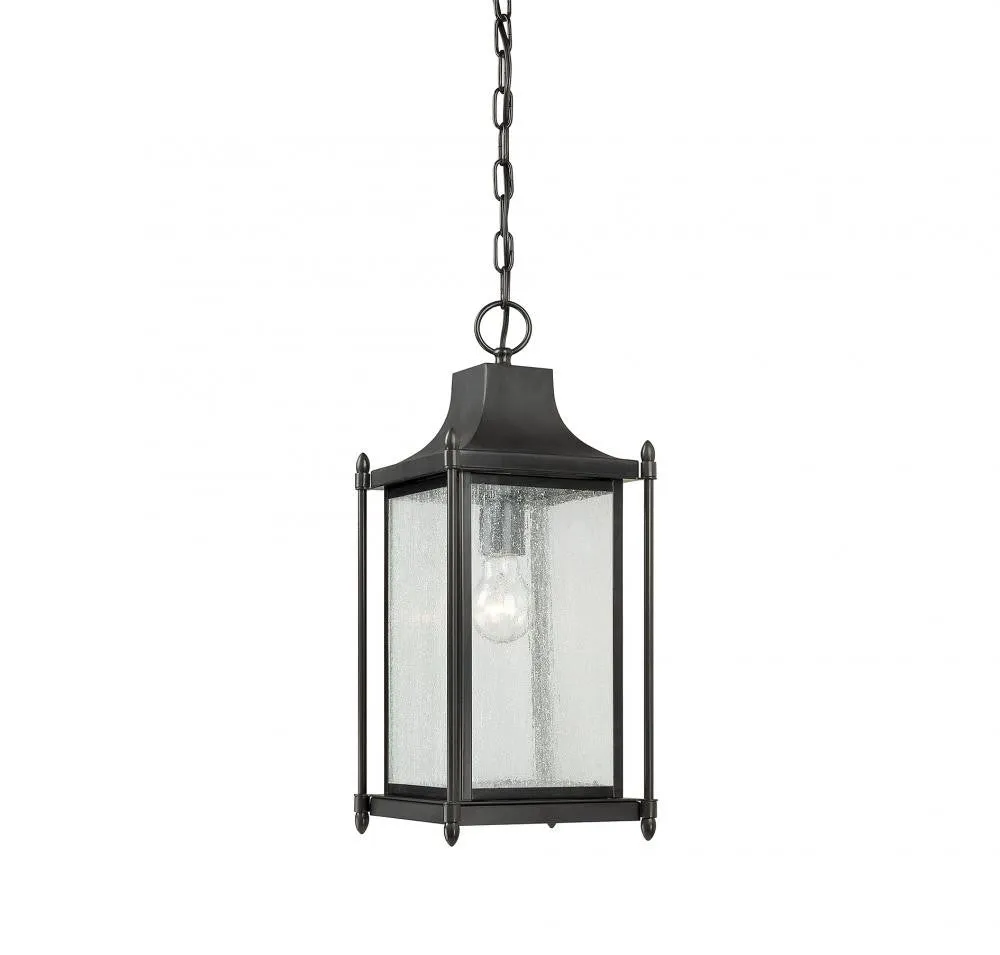 Dunnmore 1 Light Outdoor Hanging Lantern- Black