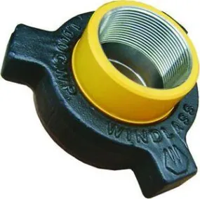 Hammer Union 4 in Fig 100