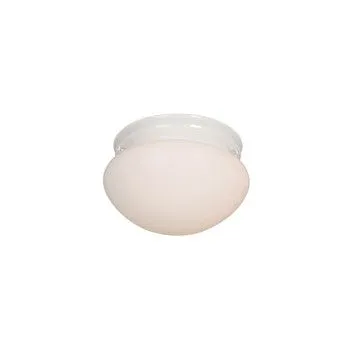 Hardware House 543991 Ceiling Light Fixture