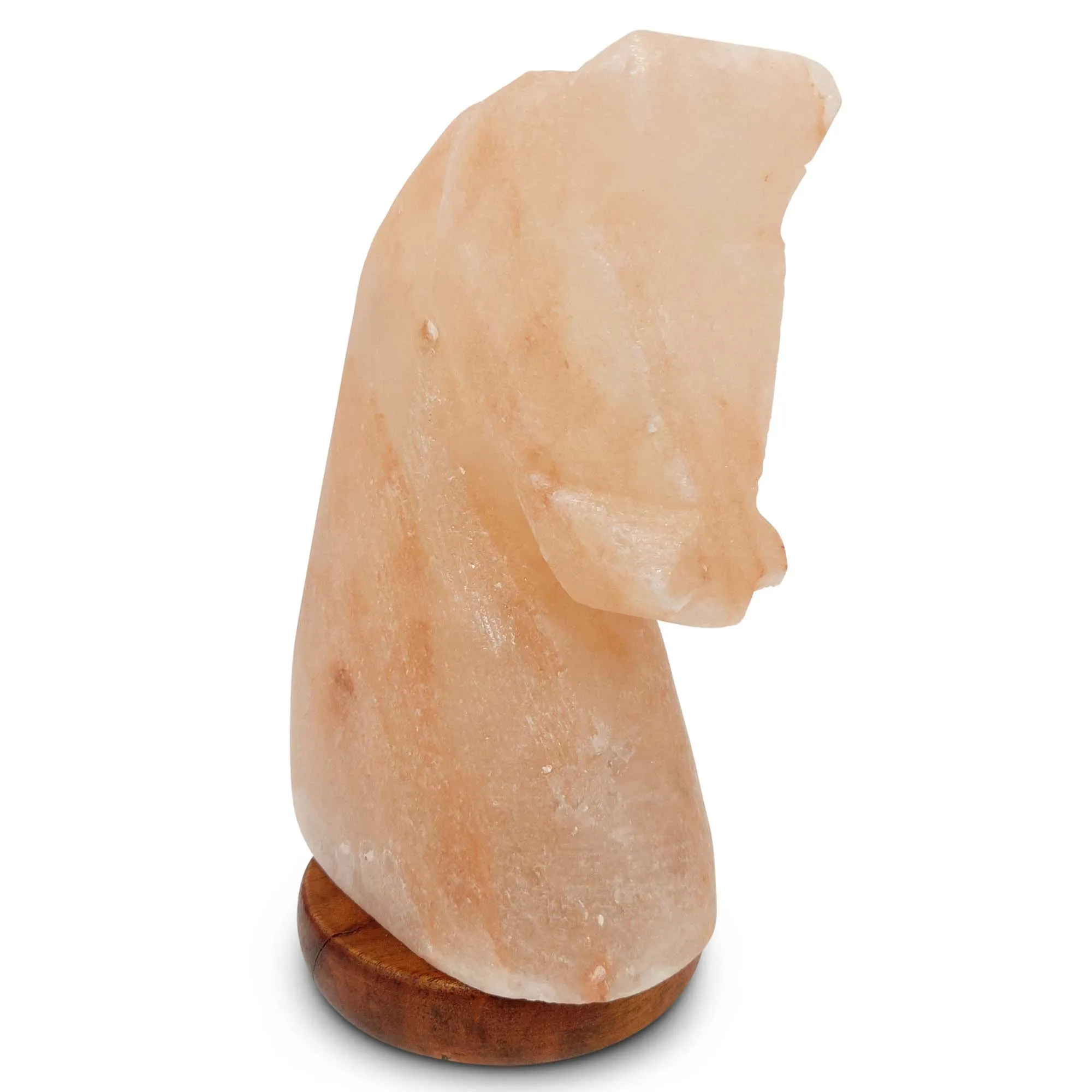 Himalayan Pink Salt Lamp   12W 12V Switch - Carved Shape Natural Crystal Rock