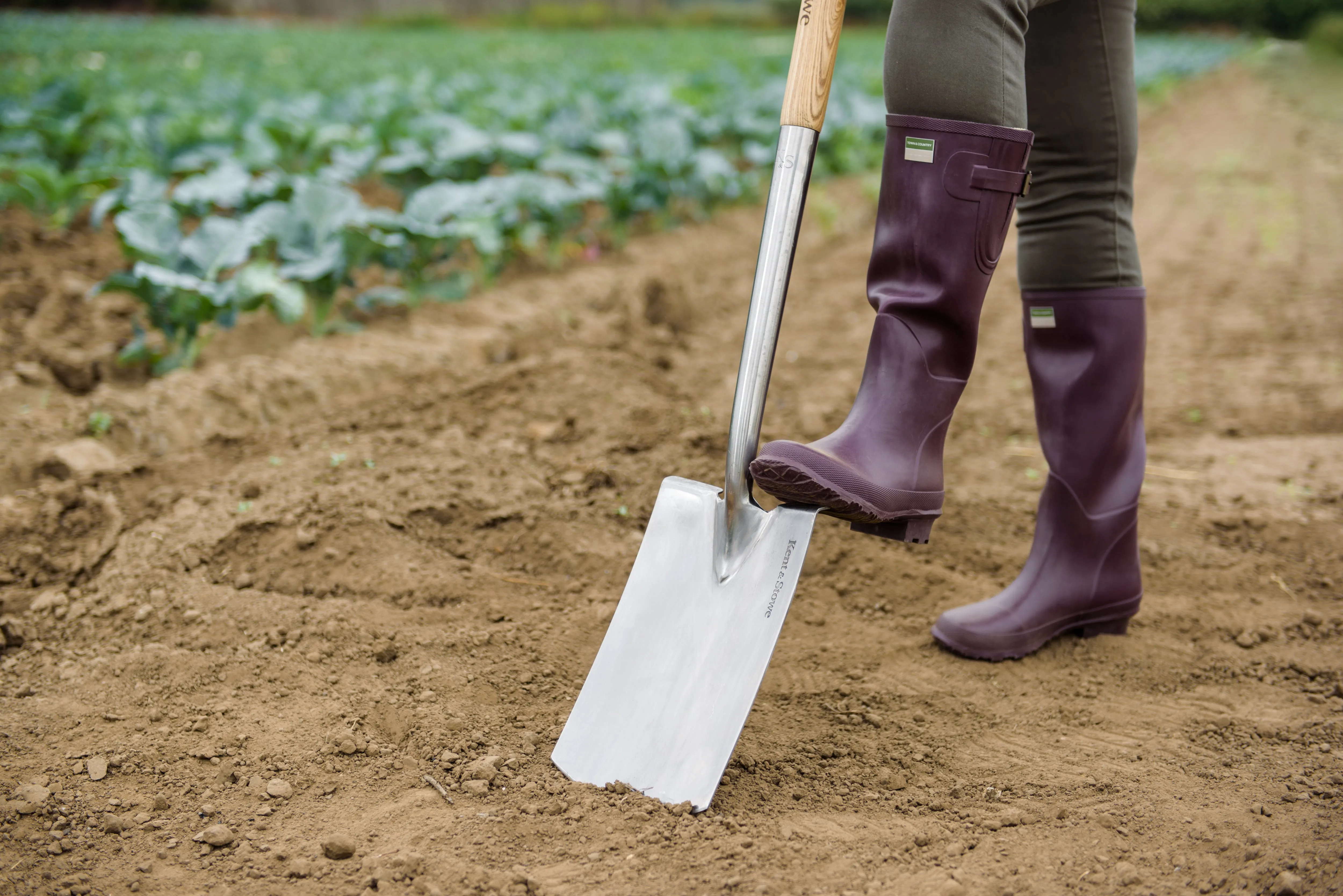 Kent & Stowe Stainless Steel Digging Spade