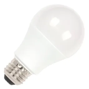 LED Lightbulbs