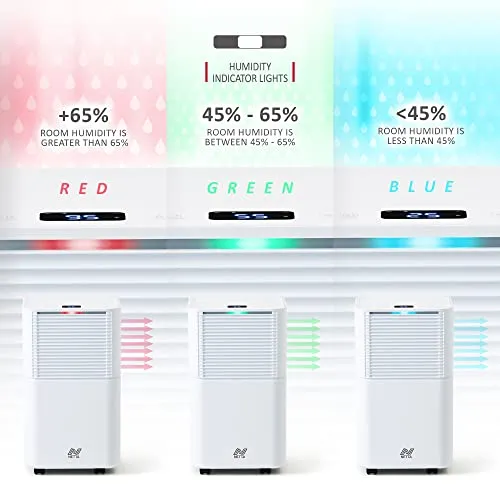 NETTA 12L/Day Low Energy Dehumidifier (New)