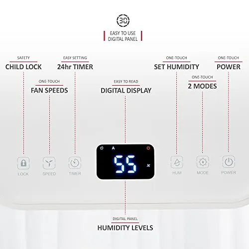 NETTA 12L/Day Low Energy Dehumidifier (New)