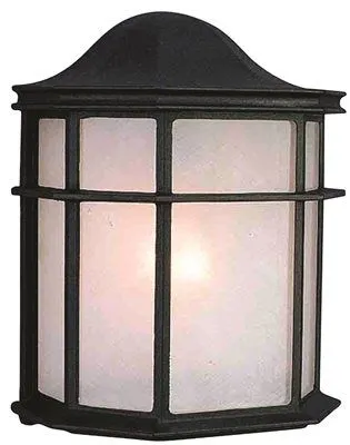 Outdoor Wall Lantern Black 8 X 10 Inch  Uses (1) 13-Watt Fluorescent Lamp