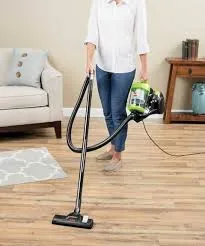 Zing Bagless Canister Vacuum